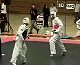 Karate Kick KO